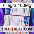 Filagra 100Mg kamagra1